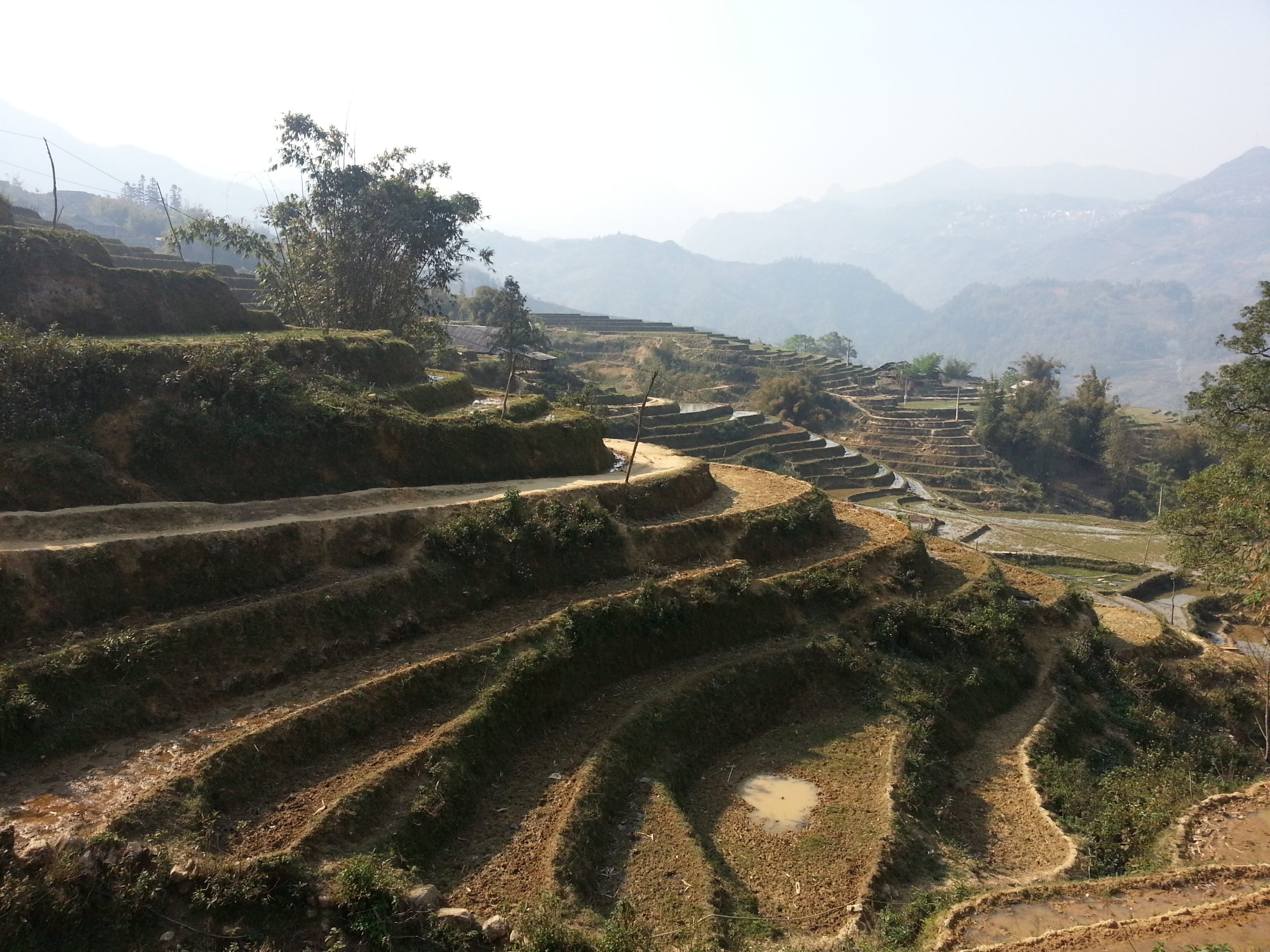 Ultimate Sapa Cycling Tour: Discover Remote Ethnic Villages & Breathtaking Terraced Rice Fields